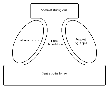 Composantes de l'organisation