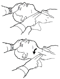 Evaluation du pouls carotidien