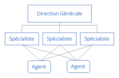 Structure fonctionnelle