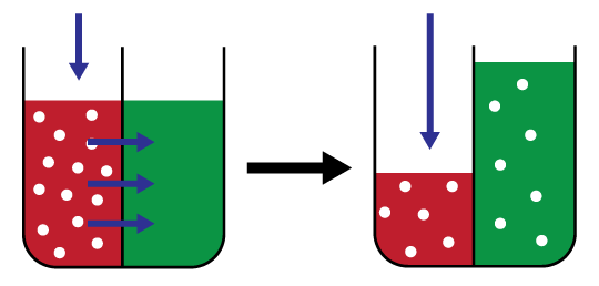 Ultrafiltration : définition et explications